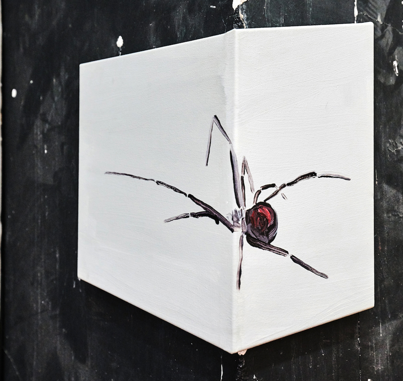 Hesam  Rahmanian  - Spider, 2016
