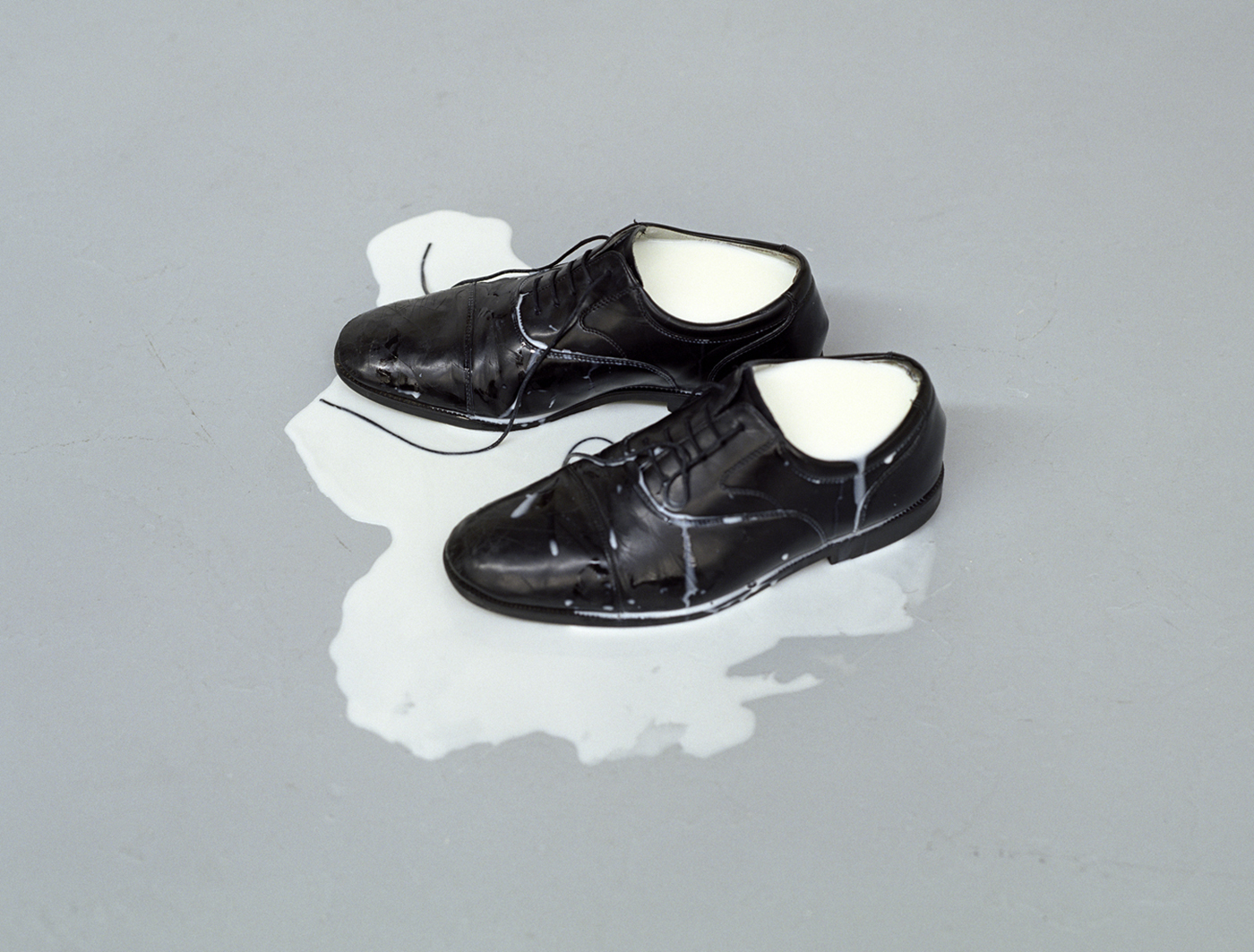 Les chaussures de lait V, 2002