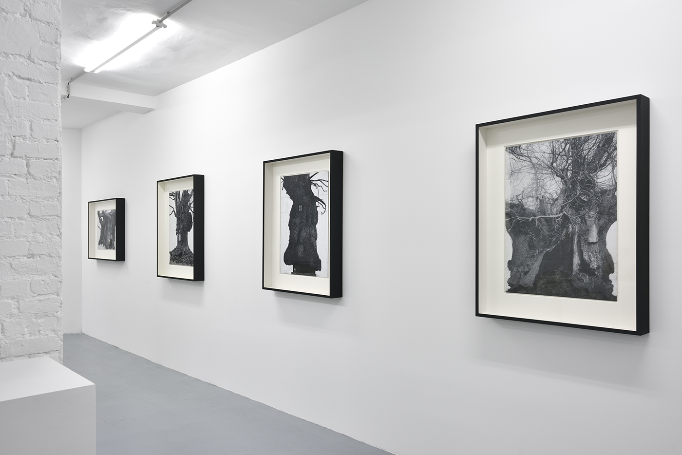 Patrick Van Caeckenbergh - Exhibition view - En marge, Galerie In Situ - Fabienne Leclerc, Paris, 15.01-18.03.17
