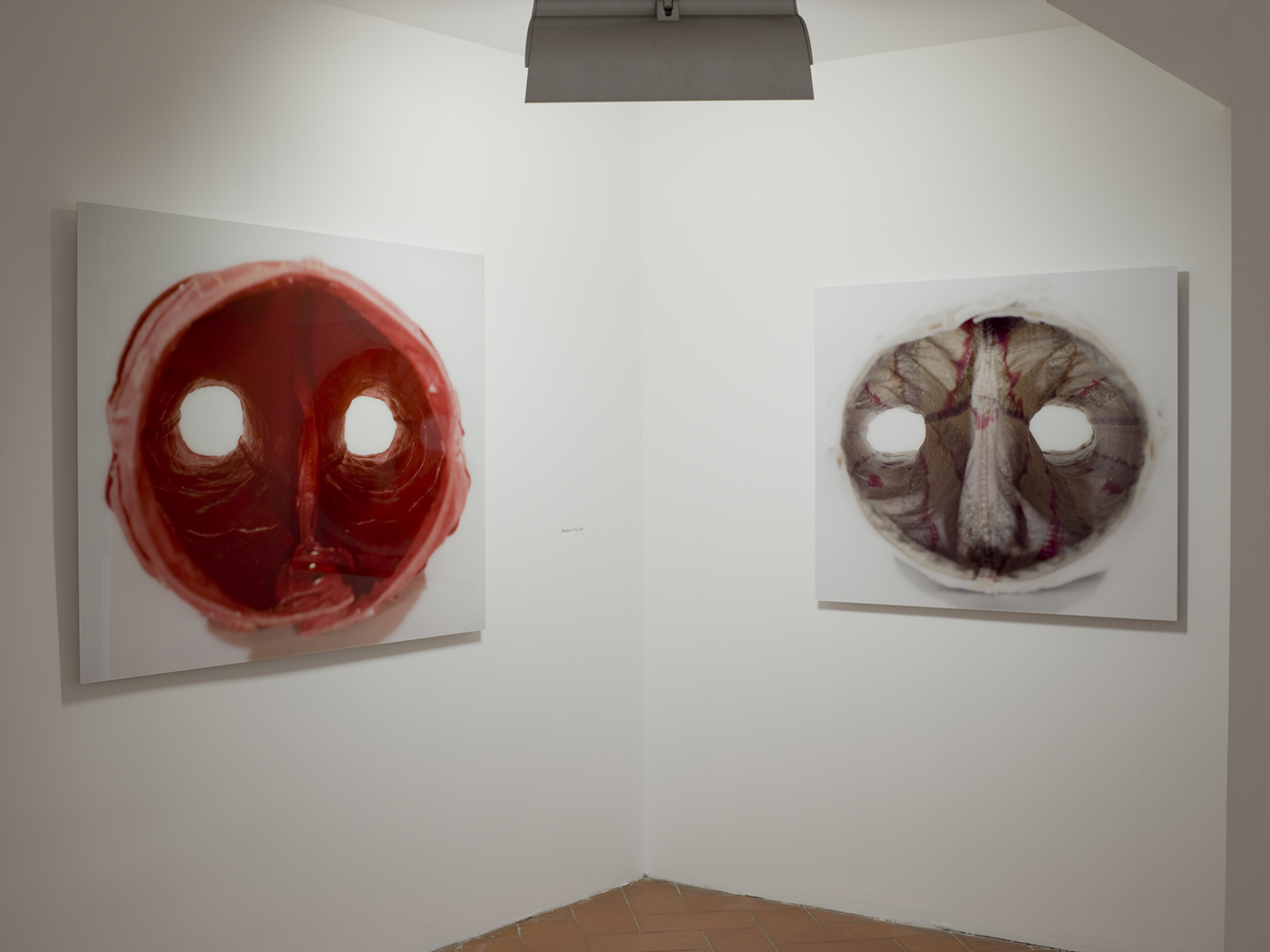Patrick Tosani - Exhibition view - La Forma delle cose, XXI triennale di Milano, Museo della Fotografia Cotemporaranea, Milan, 2016
