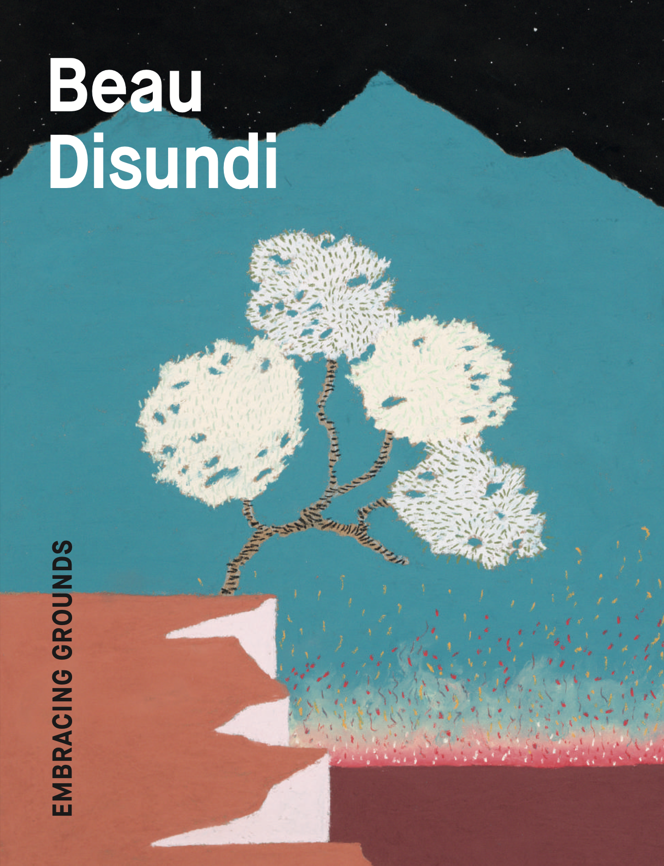 Beau Disundi - Embracing Grounds
