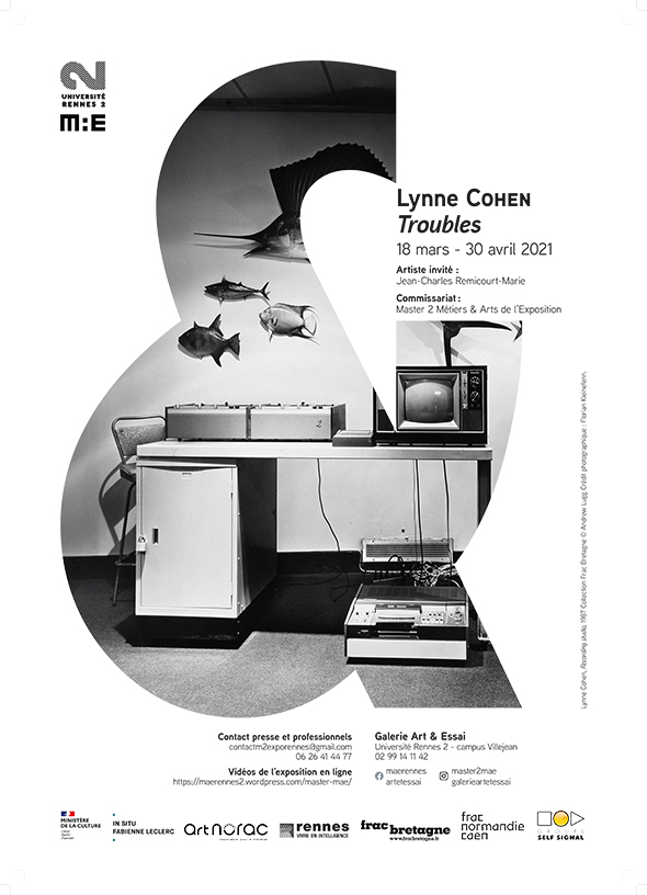 Lynne Cohen - Troubles 